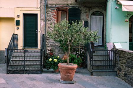 Front of the buildings in residential neighborhood of italian town.の写真素材