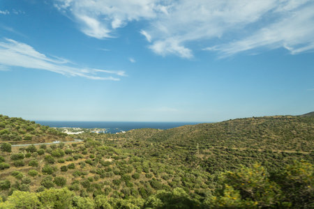 view of mountains and valleys covered with bushes and treesの写真素材
