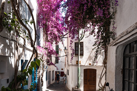 The vibrant purple flowers cascading down the white buildings in the charming neighborhood of Cadaques, of Spainの写真素材