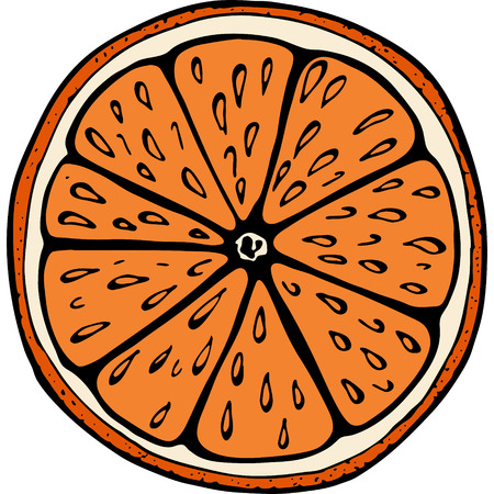Handdrawn illustration with fruit orange, vector illustrationのイラスト素材