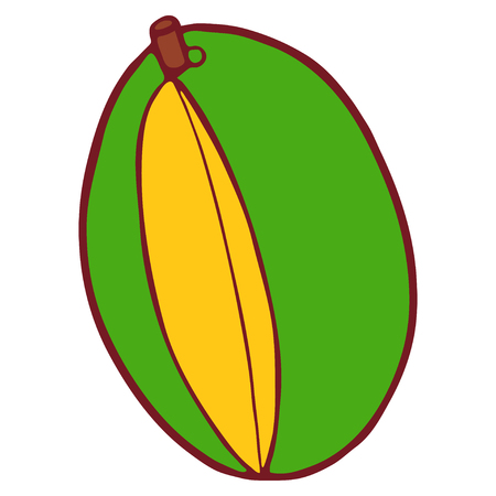 Cartoon style, flat isolated fruit/vegetable. Hand drawn doodle vector illustration.のイラスト素材