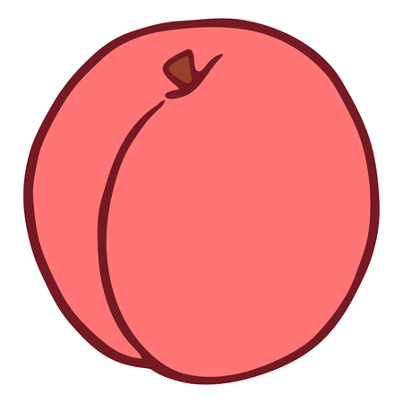 Cartoon style, flat isolated peach. Hand drawn doodle vector illustration.のイラスト素材