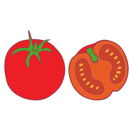 Hand drawn doodle vector isolated tomato, great design for any purposes.のイラスト素材