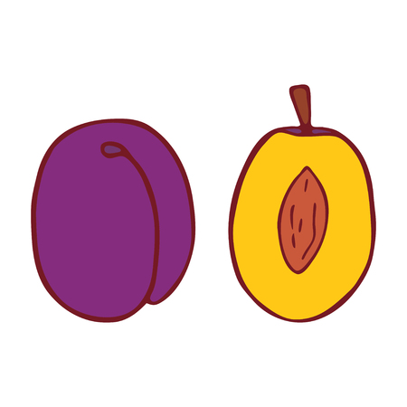 Cartoon style, flat isolated plum. Hand drawn doodle vector illustration.のイラスト素材
