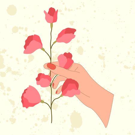 Hand with sweet pea pink flower in flat style. Isolated vector floral illustration.のイラスト素材
