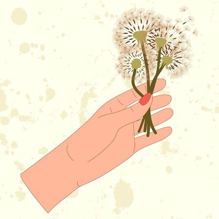 Flat illustration with colorful hand and dandelion bouquet on light background for postcard design. Meadow blossom. Vector isolated art concept.のイラスト素材