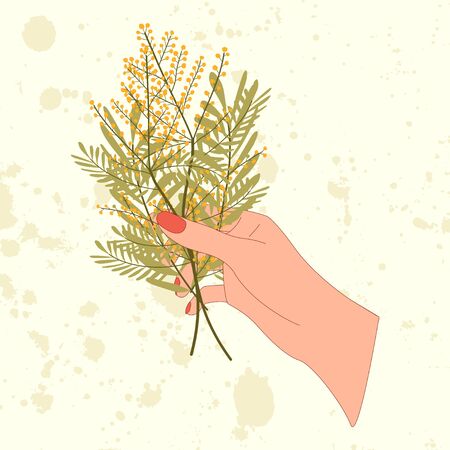 Hand hold bouquet with bunch of yellow mimosa flower. Elegant flowers concept for greeting card.のイラスト素材