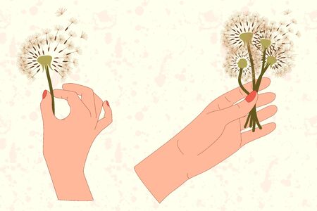 Set of two hands and dandelion bouquet in flat style. Meadow blossom. Vector isolated art concept.のイラスト素材