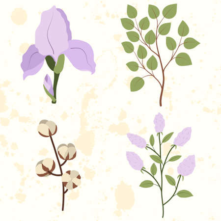Set of lilac flower, iris, cotton, green leaf branch for decoration design. Vector illustration template. Wedding floral decor.のイラスト素材