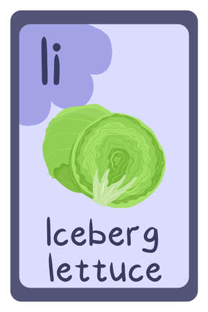 Abc food education flash card, Letter I - iceberg lettuce. Cartoon design template with colorful alphabet education card.のイラスト素材