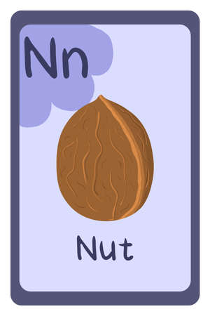 Colorful abc education flash card, Letter N - nut in shell, walnut. Alphabet vector illustration with food, fruits and vegetables. School, study, learning concept.のイラスト素材