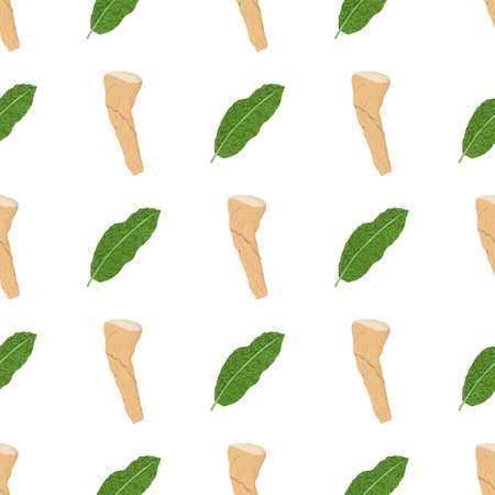 Seamless pattern with horseradish root and green leaf. Vector nature graphic background. Natural textile.のイラスト素材