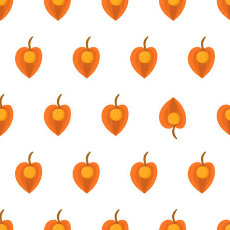 Seamless pattern with physalis, eye catching element. Orange fruit inca berry. Organic textile. Vector nature graphic background.のイラスト素材