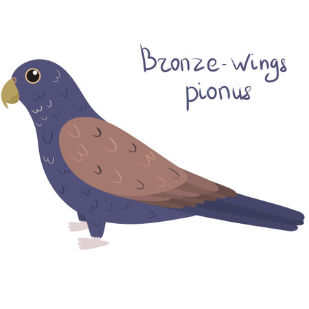 Bronze-winged parrot in cartoon style on white background. Vector hand drawn illustration. Pionus chalcopterus.のイラスト素材