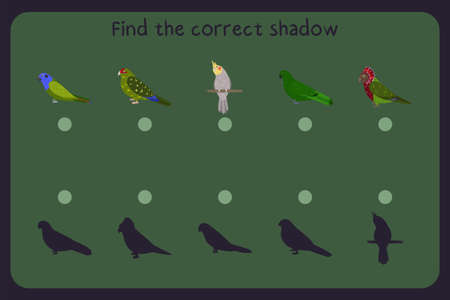 Matching children educational game with parrots - pionus, kakariki, cockatiel, eclectus, red fan parrot. Find the correct shadow. Vector illustration.のイラスト素材