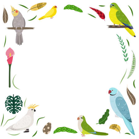 Frame template with cartoon exotic birds. Tropical rectangle composition with cockatoo, cockatiel, kakarike and neophema parrots. Design for kid nursery.のイラスト素材
