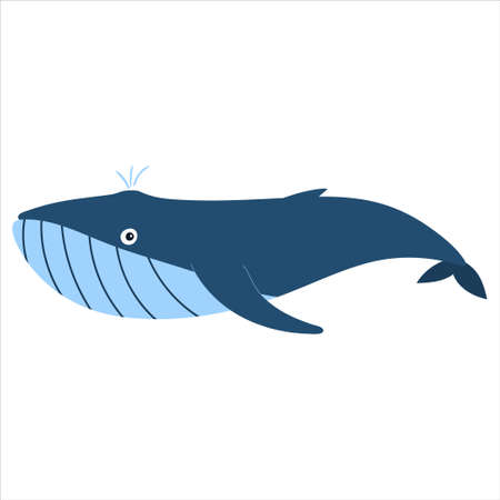 Beautiful cartoon illustration with colorful sea animals blue whale on white background for print design. Kid graphic. Sea underwater life. Vector isolated hand drawing.のイラスト素材