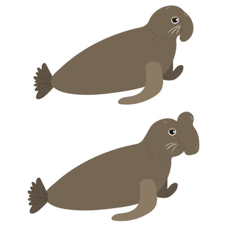 Beautiful cartoon illustration with colorful sea elephant with two kind of head on white background for print design. Kid graphic. Sea underwater life. Vector isolated hand drawing.のイラスト素材