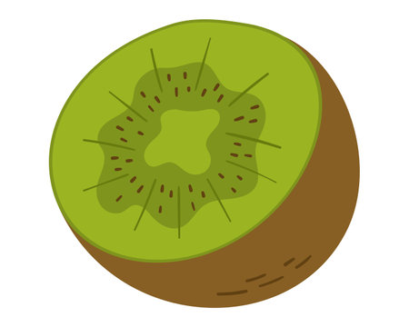 Fruit kiwi half in cartoon hand drawn simple style. Editable variable colorのイラスト素材