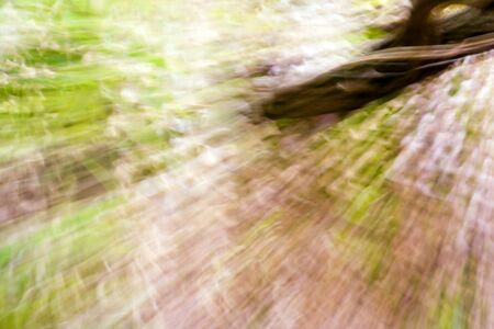 Abstract result from a shot to glicine flowersの写真素材