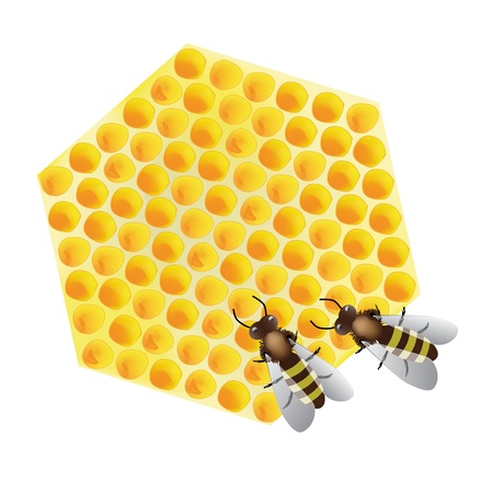 Vector - working bees on honeycombのイラスト素材