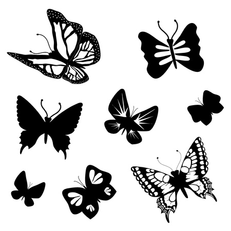 Vector set of butterfliesのイラスト素材