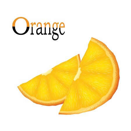 Vector slices of orangeのイラスト素材