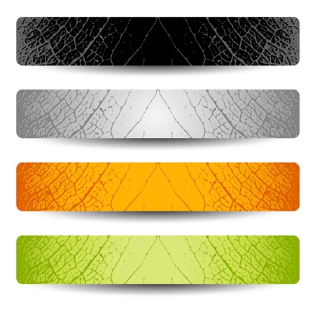 Vector set of headersのイラスト素材