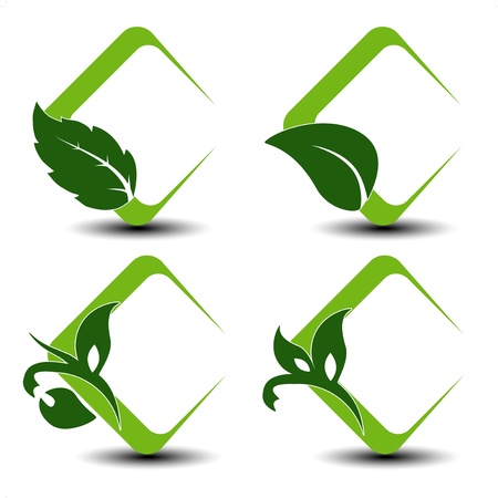 Vector natural symbols with leafのイラスト素材