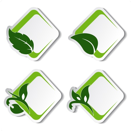 Vector natural stickers with leafのイラスト素材