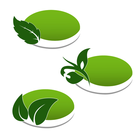 Vector natural symbols, nature bio icon with leaf and plant, oval sticker for eco product - illustrationのイラスト素材