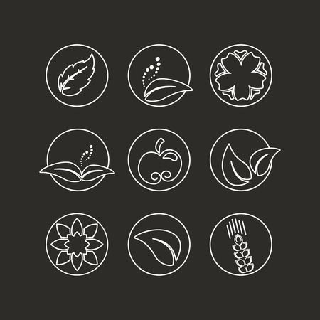 Vector white natural symbols - nature abstract element with leaf, apple, flower and spikelet, bio organic simple design in the circle - illustrationのイラスト素材