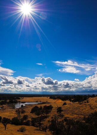 Sunny afternoon in the parkの写真素材
