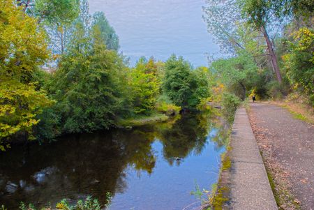 Creek Walkの写真素材