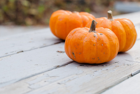 autumn Halloween pumpkin on the wooden benchの写真素材