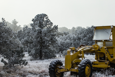 Frozen road grader abandoned in a forest.