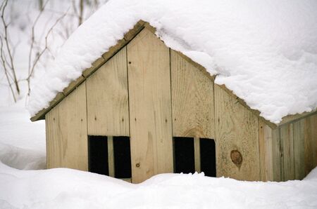 A houseの写真素材