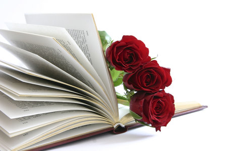 three red roses in open bookの写真素材