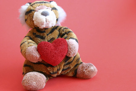 Valentines tiger with heart on red backgroundの写真素材