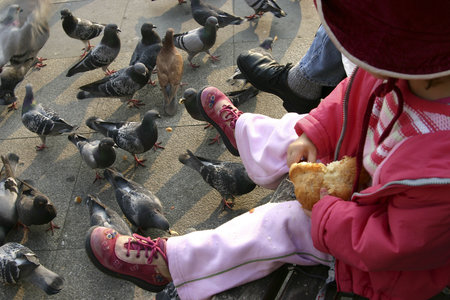 Arrayの写真素材