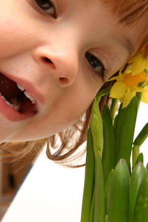 smiling child and yellow daffodils isolated on whiteの写真素材
