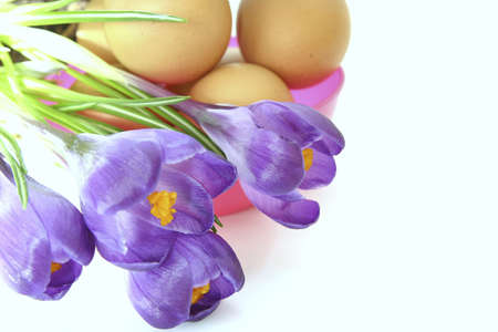 composition of eggs and flowers isolated on whiteの写真素材