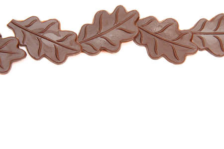 dark chocolate leaves on white with copy spaceの写真素材