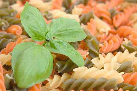 fresh green basil on background of colorful pastaの写真素材