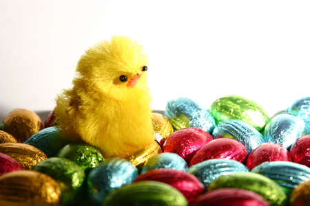 Easter chocolates in shape of egg with copy spaceand chicken