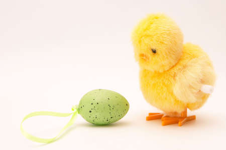 Easter chicken and egg isolated on whiteの写真素材