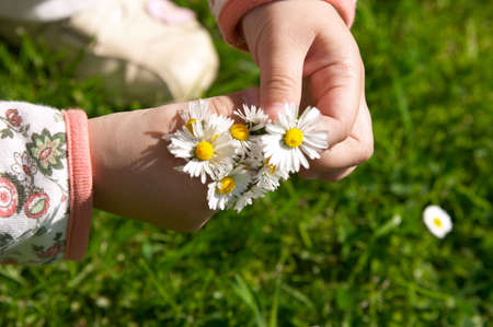 little cute girl picking daisies for Mother's Dayの写真素材