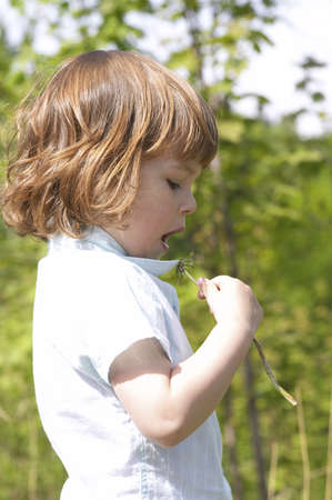 little, cute girl trying to blow a dandelionの写真素材