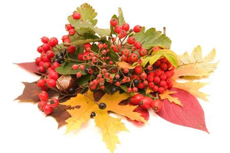 colors of autumnの写真素材