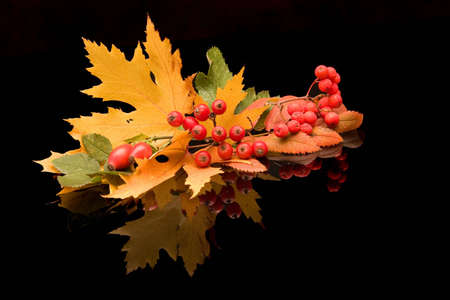 colors of autumnの写真素材